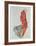 Self-Portrait as Prisoner, 1912-Egon Schiele-Framed Collectable Print