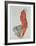 Self-Portrait as Prisoner, 1912-Egon Schiele-Framed Collectable Print