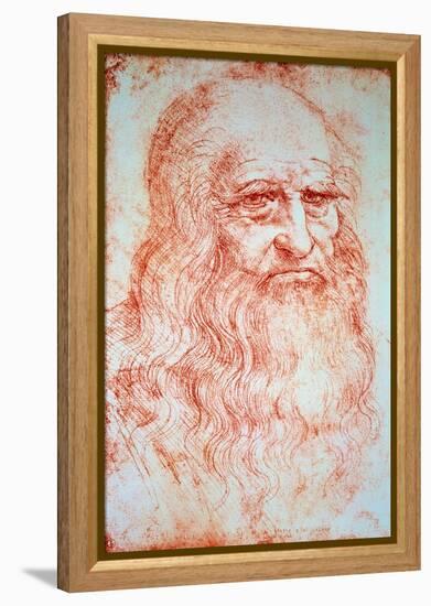 Self-Portrait Drawing a La Sanguine by Leonard De Vinci (Leonardo Da Vinci) (1452-1519) around 1516-Leonardo Da Vinci-Framed Premier Image Canvas