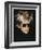 Self-Portrait in Fright Wig, 1986-Andy Warhol-Framed Art Print