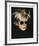 Self-Portrait in Fright Wig, 1986-Andy Warhol-Framed Giclee Print