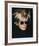 Self-Portrait in Fright Wig, 1986-Andy Warhol-Framed Giclee Print