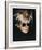 Self-Portrait in Fright Wig, 1986-Andy Warhol-Framed Giclee Print