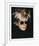 Self-Portrait in Fright Wig, 1986-Andy Warhol-Framed Giclee Print