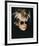 Self-Portrait in Fright Wig, 1986-Andy Warhol-Framed Giclee Print