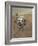 Self-Portrait of Curiosity Rover in Gale Crater on the Surface of Mars-null-Framed Photographic Print