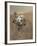 Self-Portrait of Curiosity Rover in Gale Crater on the Surface of Mars-null-Framed Photographic Print