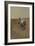 Self-Portrait of Curiosity Rover on the Surface of Mars-null-Framed Photographic Print