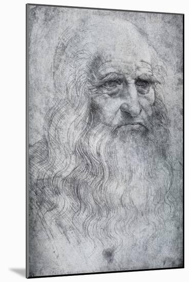 Self Portrait of Leonardo Da Vinci, C1512-1515-Leonardo da Vinci-Mounted Giclee Print