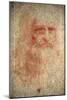 Self Portrait of Leonardo Da Vinci, Italian Painter, Sculptor, Engineer and Architect, C1513-Leonardo da Vinci-Mounted Giclee Print