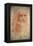 Self Portrait of Leonardo Da Vinci, Italian Painter, Sculptor, Engineer and Architect, C1513-Leonardo da Vinci-Framed Premier Image Canvas