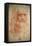 Self Portrait of Leonardo Da Vinci, Italian Painter, Sculptor, Engineer and Architect, C1513-Leonardo da Vinci-Framed Premier Image Canvas