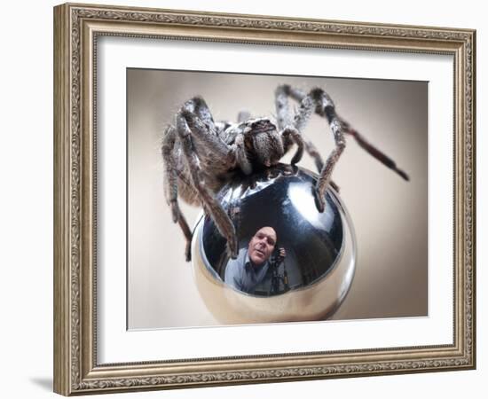 Self-Portrait with Spider-Tim Millar-Framed Photographic Print