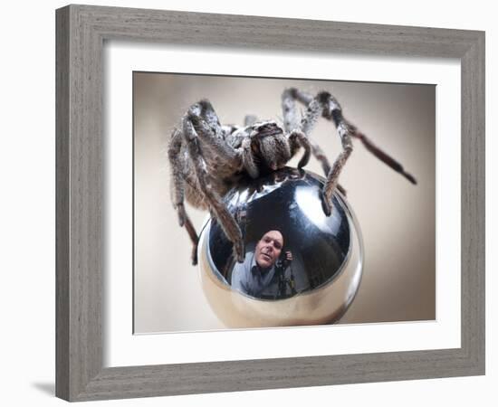 Self-Portrait with Spider-Tim Millar-Framed Photographic Print