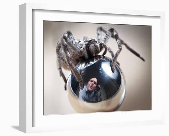Self-Portrait with Spider-Tim Millar-Framed Photographic Print