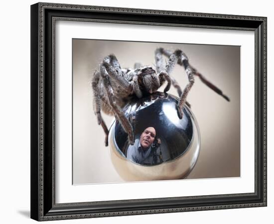 Self-Portrait with Spider-Tim Millar-Framed Photographic Print