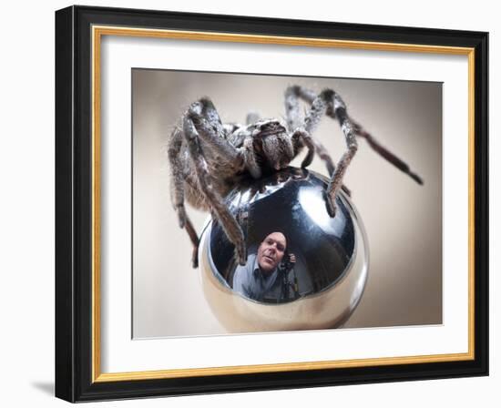 Self-Portrait with Spider-Tim Millar-Framed Photographic Print