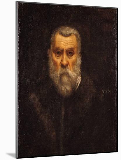 Self Portrait-Jacopo Robusti Tintoretto-Mounted Giclee Print