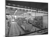 Self Service Shopping, Carlines Store, Goldthorpe, South Yorshire, 1961-Michael Walters-Mounted Photographic Print