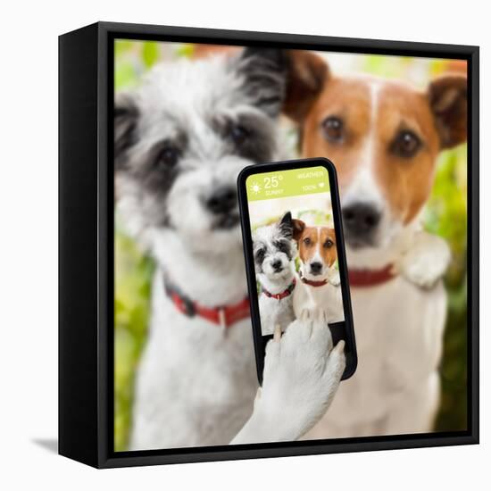 Selfie Dogs-Javier Brosch-Framed Premier Image Canvas