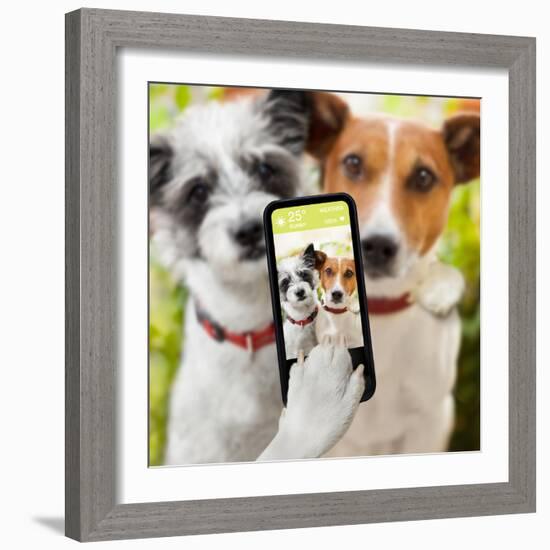 Selfie Dogs-Javier Brosch-Framed Photographic Print