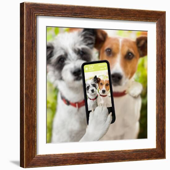 Selfie Dogs-Javier Brosch-Framed Photographic Print