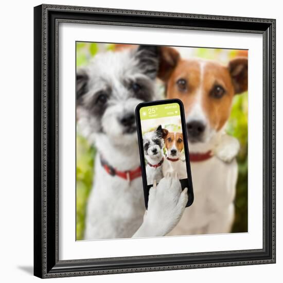 Selfie Dogs-Javier Brosch-Framed Photographic Print