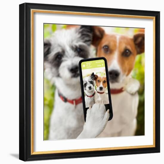 Selfie Dogs-Javier Brosch-Framed Photographic Print