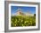 Selinus Greek Temple in Spring, Selinunte, Sicily, Italy, Europe-Stuart Black-Framed Photographic Print