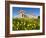 Selinus Greek Temple in Spring, Selinunte, Sicily, Italy, Europe-Stuart Black-Framed Photographic Print