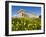 Selinus Greek Temple in Spring, Selinunte, Sicily, Italy, Europe-Stuart Black-Framed Photographic Print