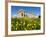 Selinus Greek Temple in Spring, Selinunte, Sicily, Italy, Europe-Stuart Black-Framed Photographic Print