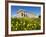 Selinus Greek Temple in Spring, Selinunte, Sicily, Italy, Europe-Stuart Black-Framed Photographic Print