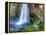 Seljalandsfoss Waterfall, Iceland-Nadia Isakova-Framed Premier Image Canvas