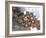 Seljuk, Anatolia, Turkey-R H Productions-Framed Photographic Print