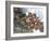 Seljuk, Anatolia, Turkey-R H Productions-Framed Photographic Print