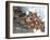 Seljuk, Anatolia, Turkey-R H Productions-Framed Photographic Print