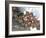 Seljuk, Anatolia, Turkey-R H Productions-Framed Photographic Print