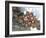 Seljuk, Anatolia, Turkey-R H Productions-Framed Photographic Print