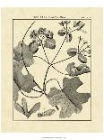 Vintage Botanical Study IV-Sellier-Art Print