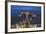 Sellin pier Rugen dusk West Pomerania Germany-Charles Bowman-Framed Photographic Print