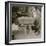 Selling Oranges-Lewis Wickes Hine-Framed Photo