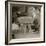 Selling Oranges-Lewis Wickes Hine-Framed Photo