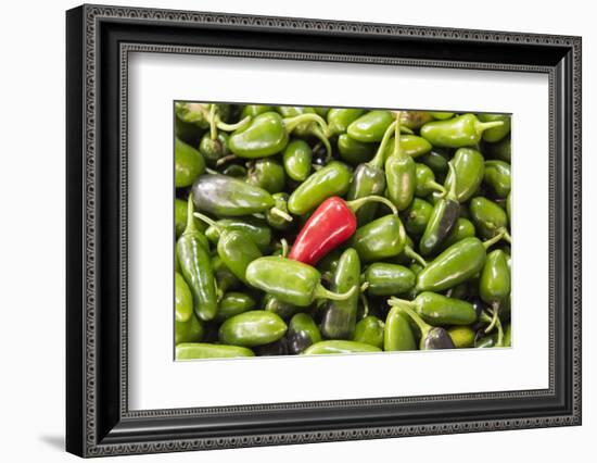 Selling peppers at the market, Kathmandu, Nepal-Keren Su-Framed Photographic Print