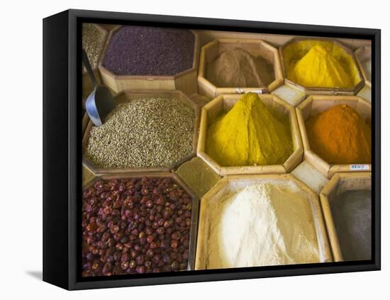 Selling Spices at the Market, Dubai, United Arab Emirates-Keren Su-Framed Premier Image Canvas