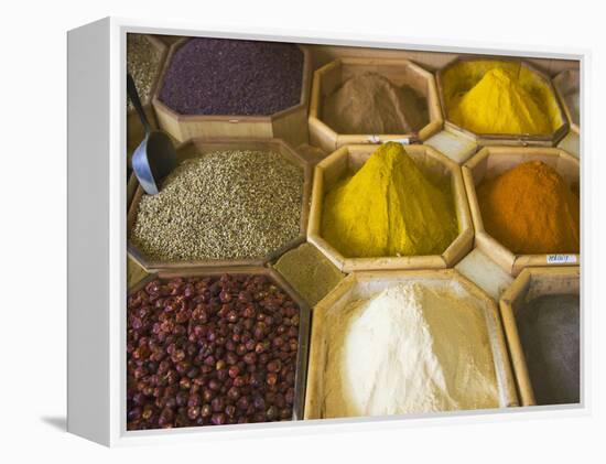 Selling Spices at the Market, Dubai, United Arab Emirates-Keren Su-Framed Premier Image Canvas