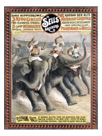 POSTER ELEPHANT RACES RING CIRCUS ARABIAN NIGHT SHOW VINTAGE REPRO FREE S//H