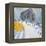 Selva Val Gardena, Italy-Andrew Macara-Framed Premier Image Canvas