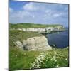 Selwicks Bay, Flamborough Head, Coast of Humberside, England, UK, Europe-Roy Rainford-Mounted Photographic Print