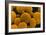 SEM of Yeast Cells-Dr. Jeremy Burgess-Framed Photographic Print